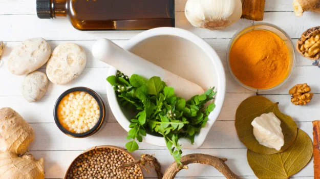 Living Ayurveda: The Ultimate Guide to Health and Happiness