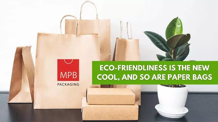 Paper Bags – The Surprising Benefit of Paper Bags