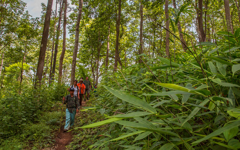 Trekking in Thailand – The best places to explore on foot